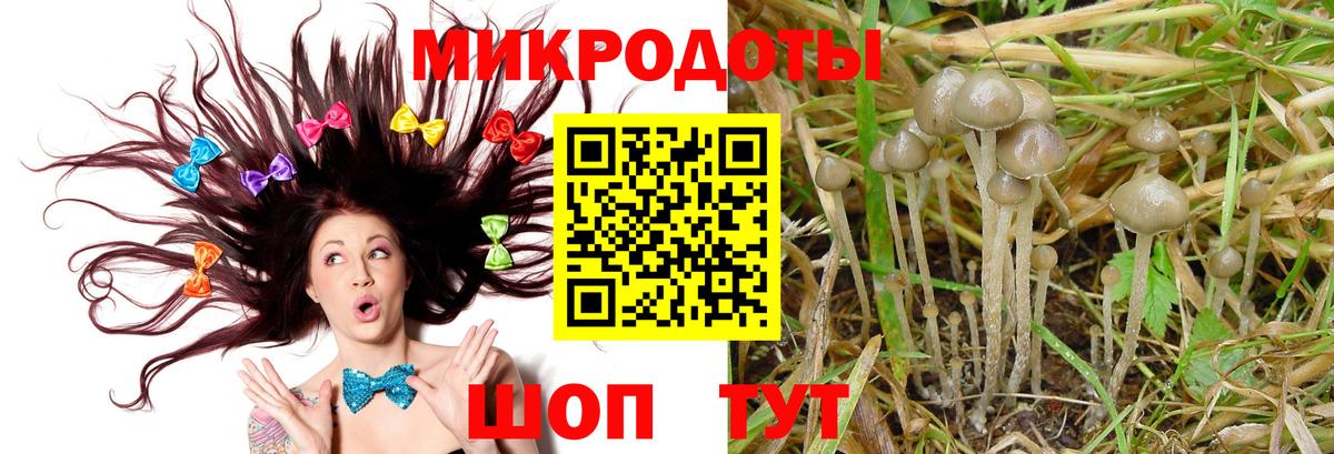 закладка  Псилоцибиновые грибы мухоморы  Зеленодольск  Вход с VPN  Галлюциногенные грибы MAGIC MUSHROOMS 